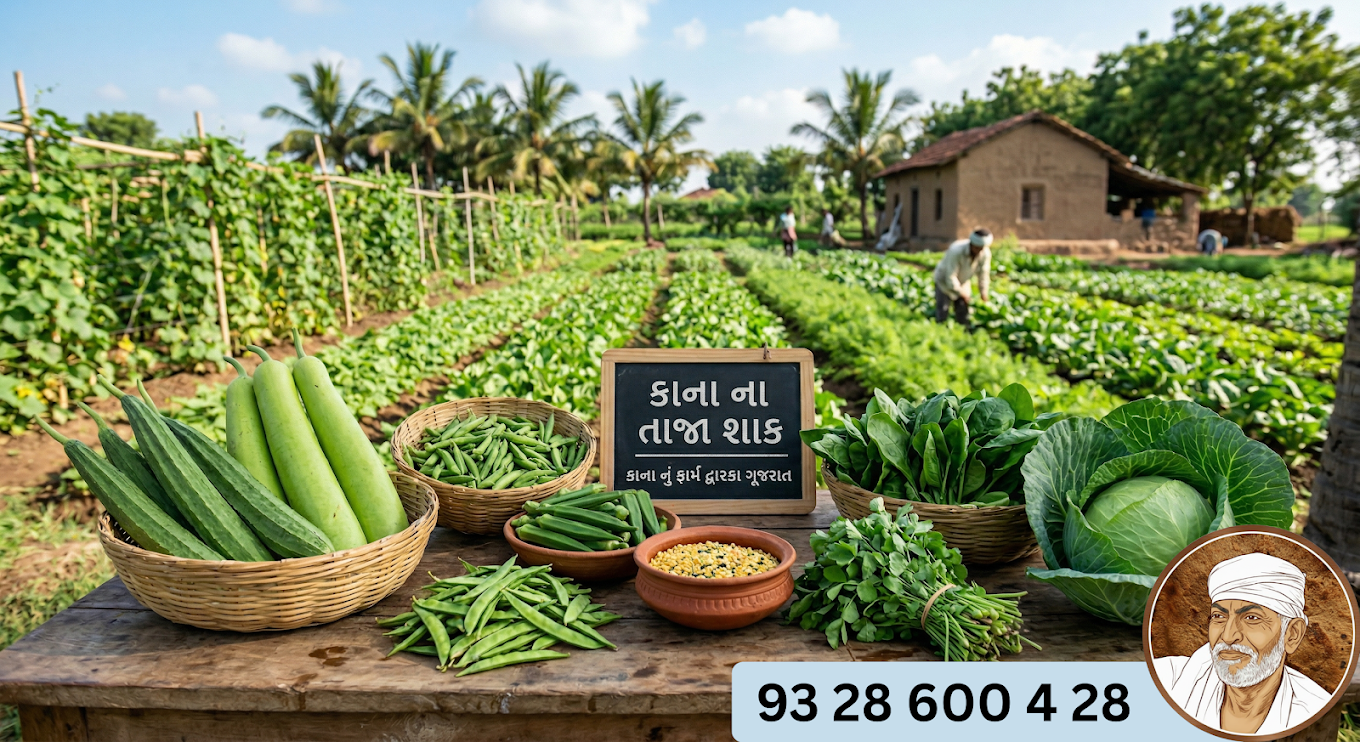 Fresh Farm Vegetables in Ahmedabad | Kana No Rotlo Organic Sabji